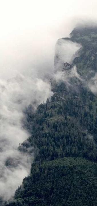 Cep Asistanım ekran görüntüsü 2