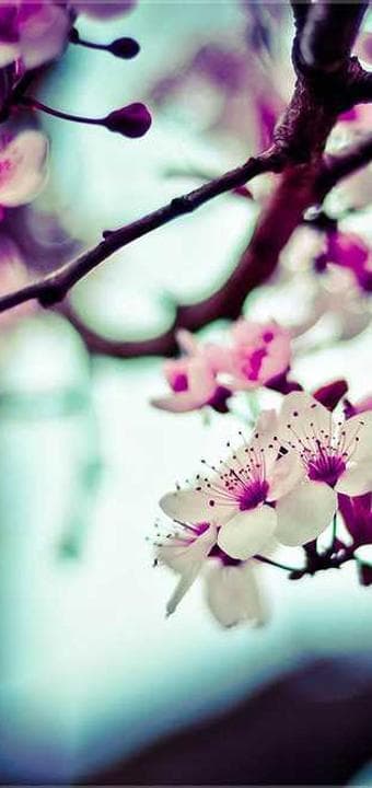 Dua Vakti ekran görüntüsü 3