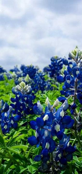 Dua Vakti ekran görüntüsü 4