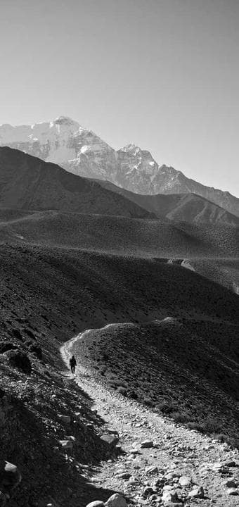 Pidem Salonu ekran görüntüsü 4